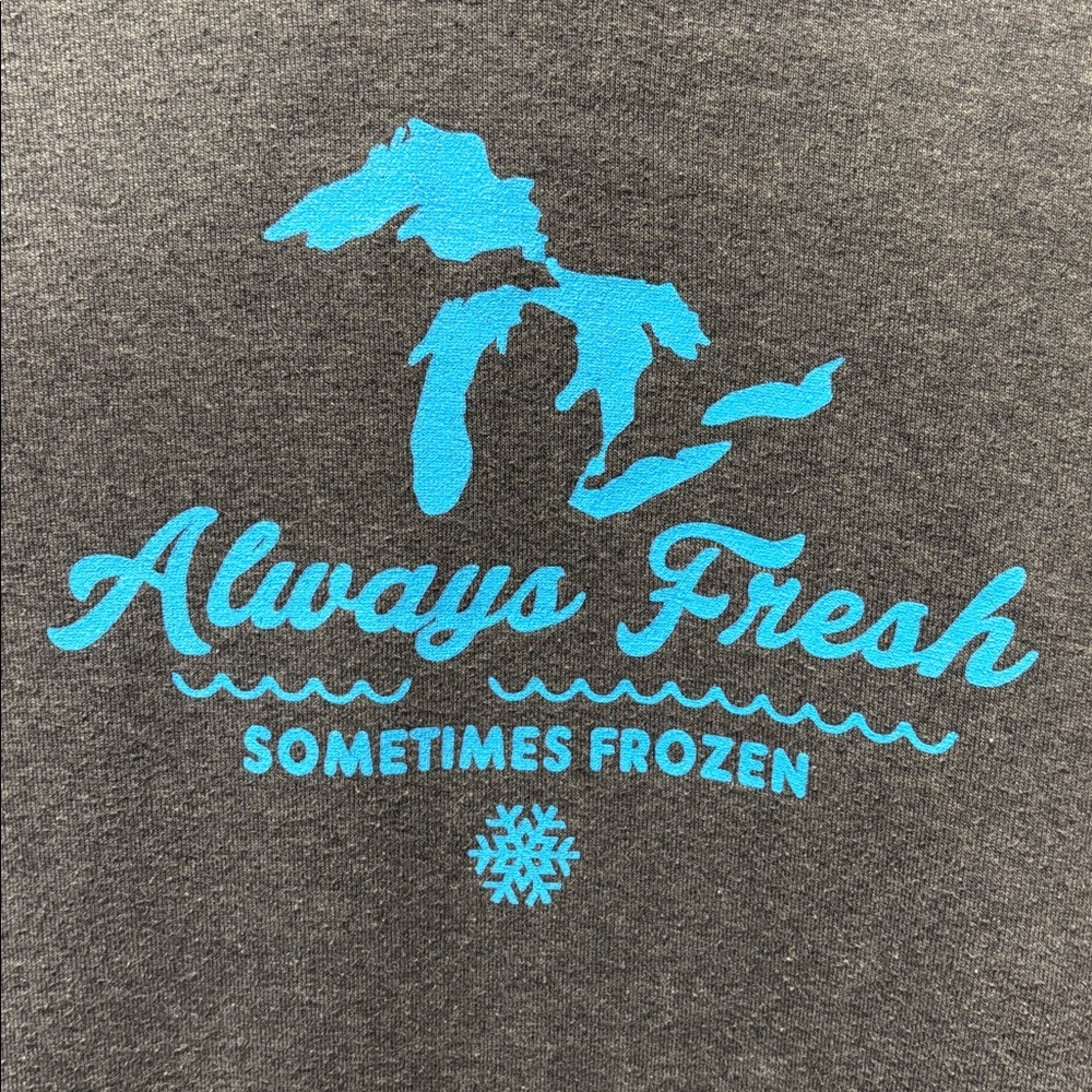 🧣 Men's or Women’s State of Michigan Hoodie - Picture 2 of 5